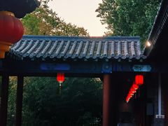 -中卫御苑福膳·养生局(圆明园店)
