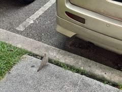 -武吉免登购物中心