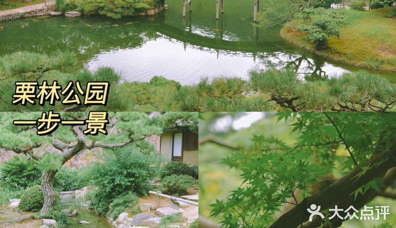 又是一年樱花季🌸想念日本高松的绝美风景~