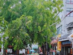 -后海村