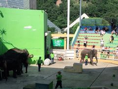 -大连森林动物园