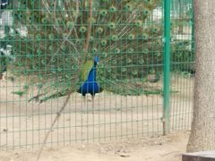 -石家庄市动物园