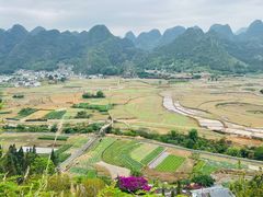 -万峰林风景区