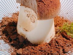 -慢丽江·云南野生菌土鸡锅(西山店)