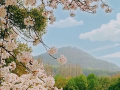 -杭州少年儿童公园
