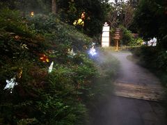 -杭州第一世界大酒店·云曼温泉
