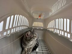 -瑞派康怡24h宠物医院·犬猫医疗中心·微创绝育(瑞景分院)