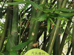 -晓港公园