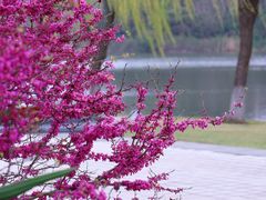 -东华大学(松江校区)