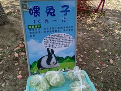 -苏州太湖国家湿地公园