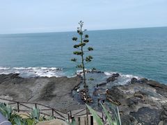 -漳州滨海火山岛自然生态风景区