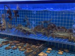 -冀粤香海鲜自助餐厅(西美五洲店)