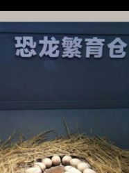 -恐龙探索乐园(磁器口店)