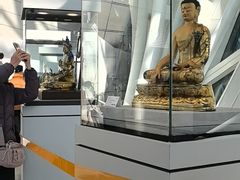 -凤凰中心