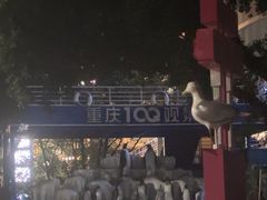 -重庆欢乐海底世界