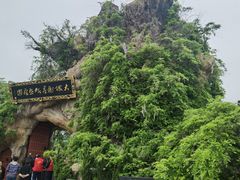 -大槐树寻根祭祖园