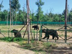 -秦皇岛野生动物园