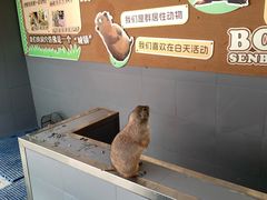 -杭州开元森泊度假乐园