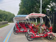 -永定河休闲森林公园