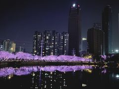 -西北湖绿化广场
