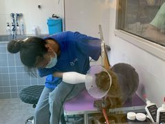 -宠颐生动物医院·心脏科·保险定点(锦阳分院)