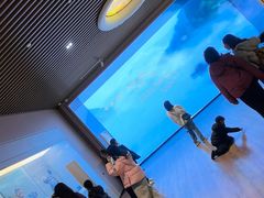 -中国湿地博物馆