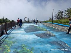 -王莽岭风景区