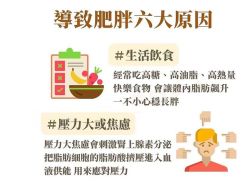 -Fundi张玉珊修身堂·indiba·BTL科技瘦身