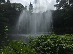 -叶家花园