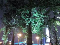 -百林公园-两江幸福广场