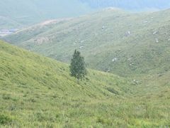 -灵山