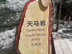 -汤旺河林海奇石景区