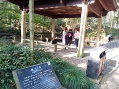 -西湖风景区十里琅珰-五云山