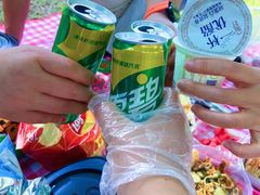 -贡湖湾湿地公园