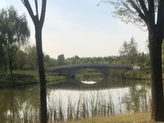 -东郊湿地公园