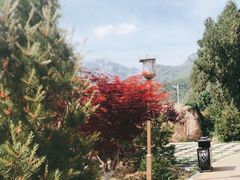 -泰山风景名胜区-虎山公园