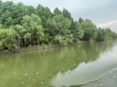 -苏州太湖国家湿地公园