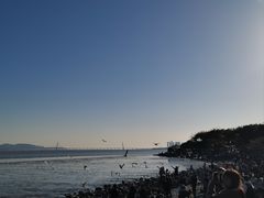 -深圳湾公园(南山区)