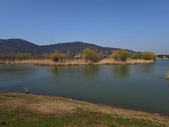 -长广溪湿地公园