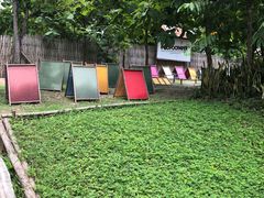 -大象粑粑造纸公园