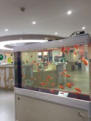 -芳妮豆丁家庭影像馆(宝安店)