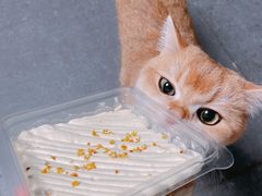 -盒马鲜生(红莲店)