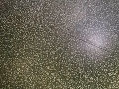 -川道拐耗儿鱼(置信路店)