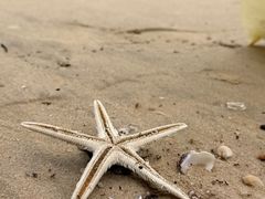 -惠州金海湾嘉华度假酒店