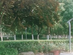 -天鹅湖体育公园