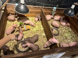 -酷嗒动物文化乐园(cutezoo西溪乐天城店)