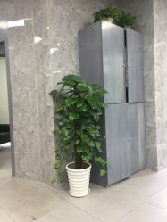 -INS羽毛接发·巴黎画染