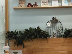 -猫的天空之城概念书店(印象城购物中心店)