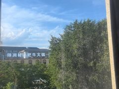 -特克斯八卦城