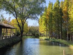 -溱湖国家湿地公园